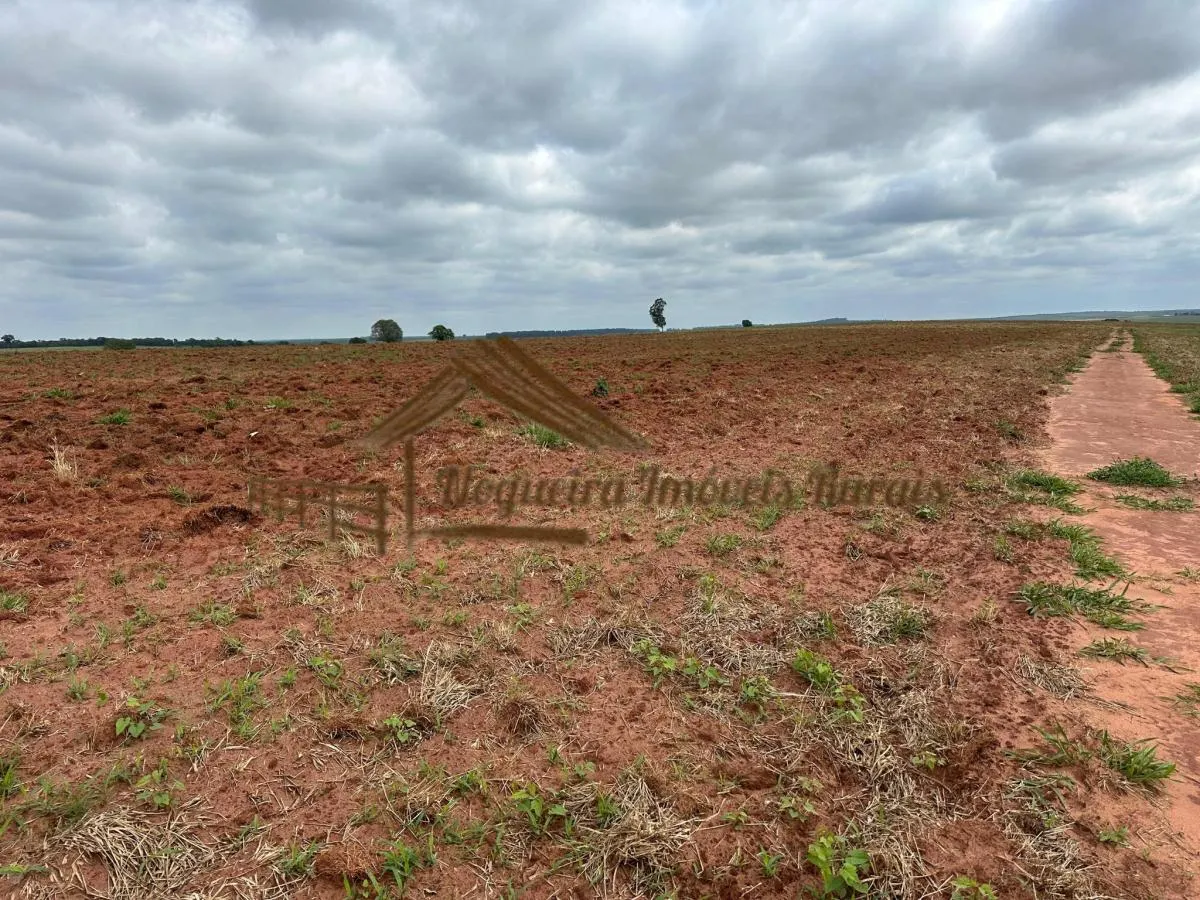 Fazenda à venda de 263 ha em Avaré, SP, Brasil