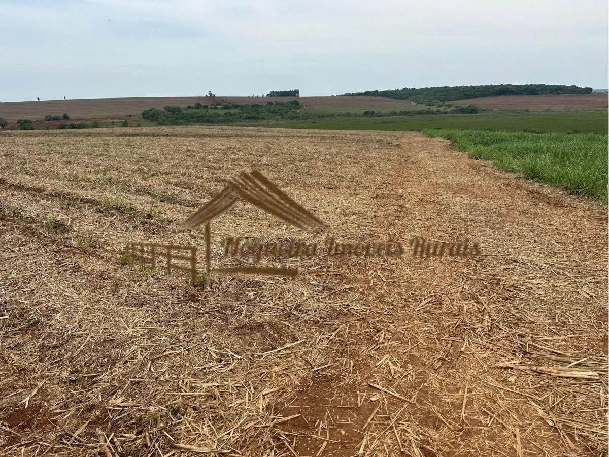 Fazenda à venda de 263 ha em Avaré, SP, Brasil
