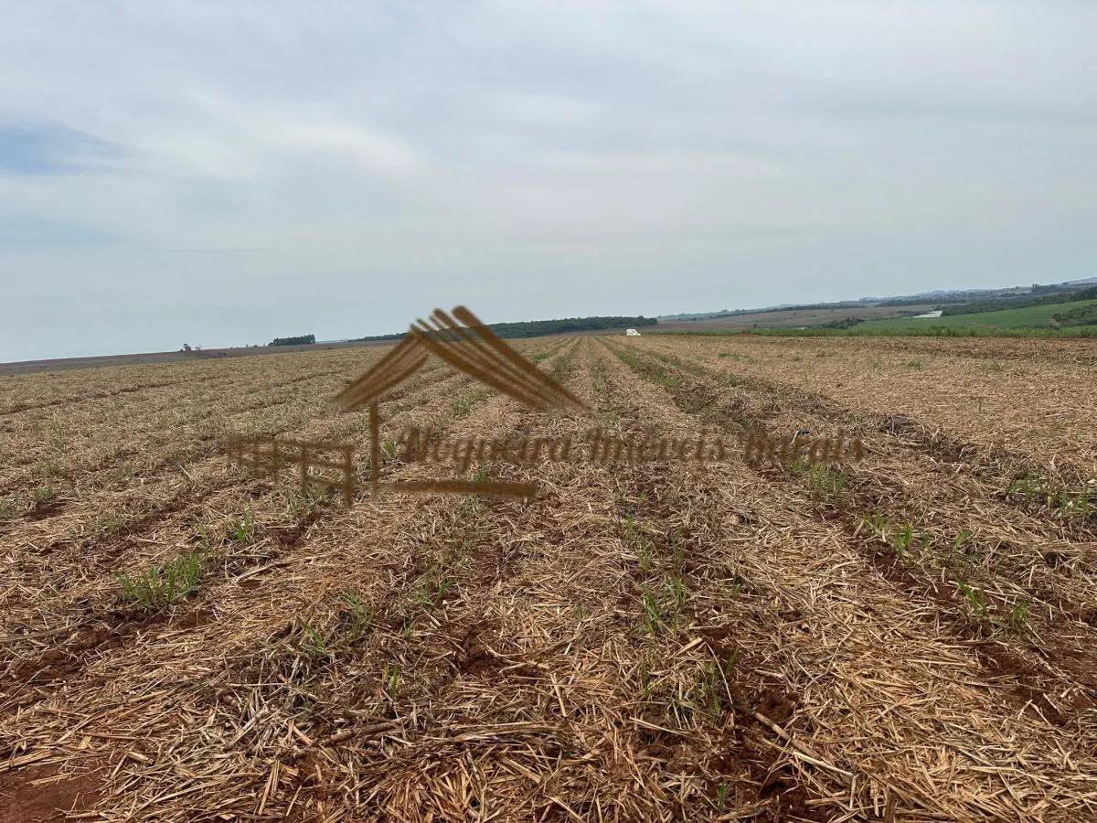 Fazenda à venda de 263 ha em Avaré, SP, Brasil