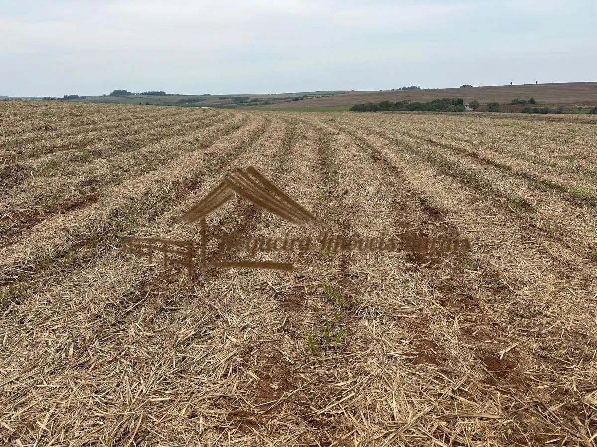 Fazenda à venda de 263 ha em Avaré, SP, Brasil