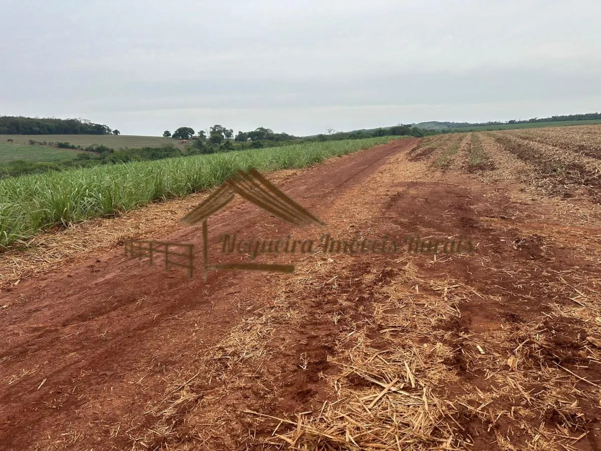 Fazenda à venda de 263 ha em Avaré, SP, Brasil