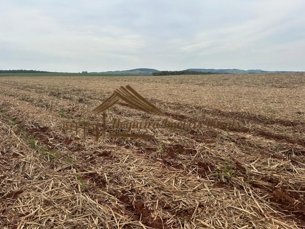 Fazenda à venda de 263 ha em Avaré, SP, Brasil