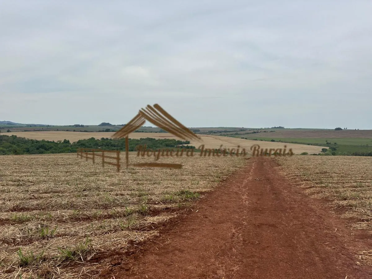 Fazenda à venda de 263 ha em Avaré, SP, Brasil