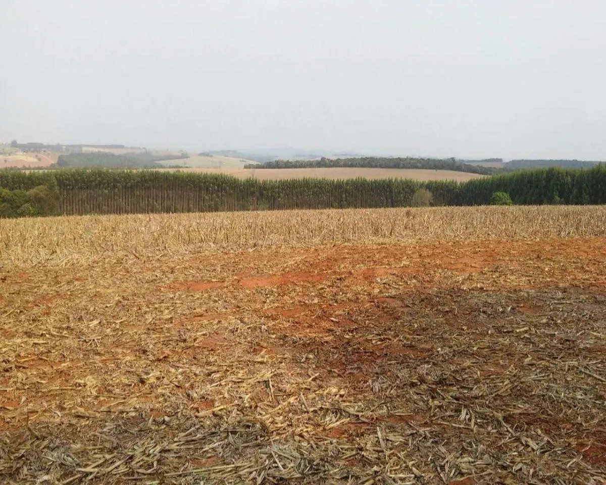 Fazenda à venda de 626 ha em Itapeva, SP, Brasil