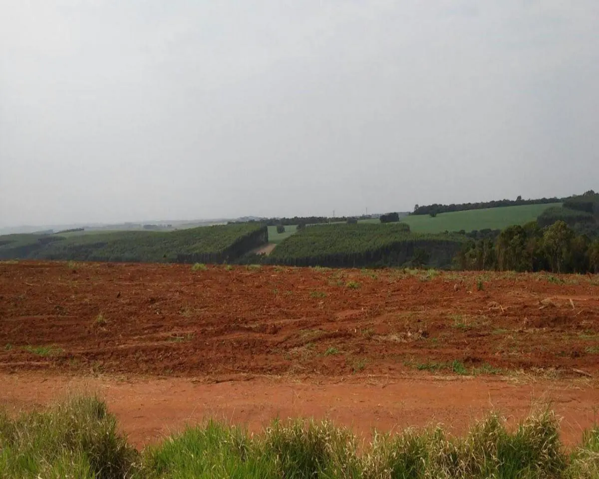 Fazenda à venda de 626 ha em Itapeva, SP, Brasil
