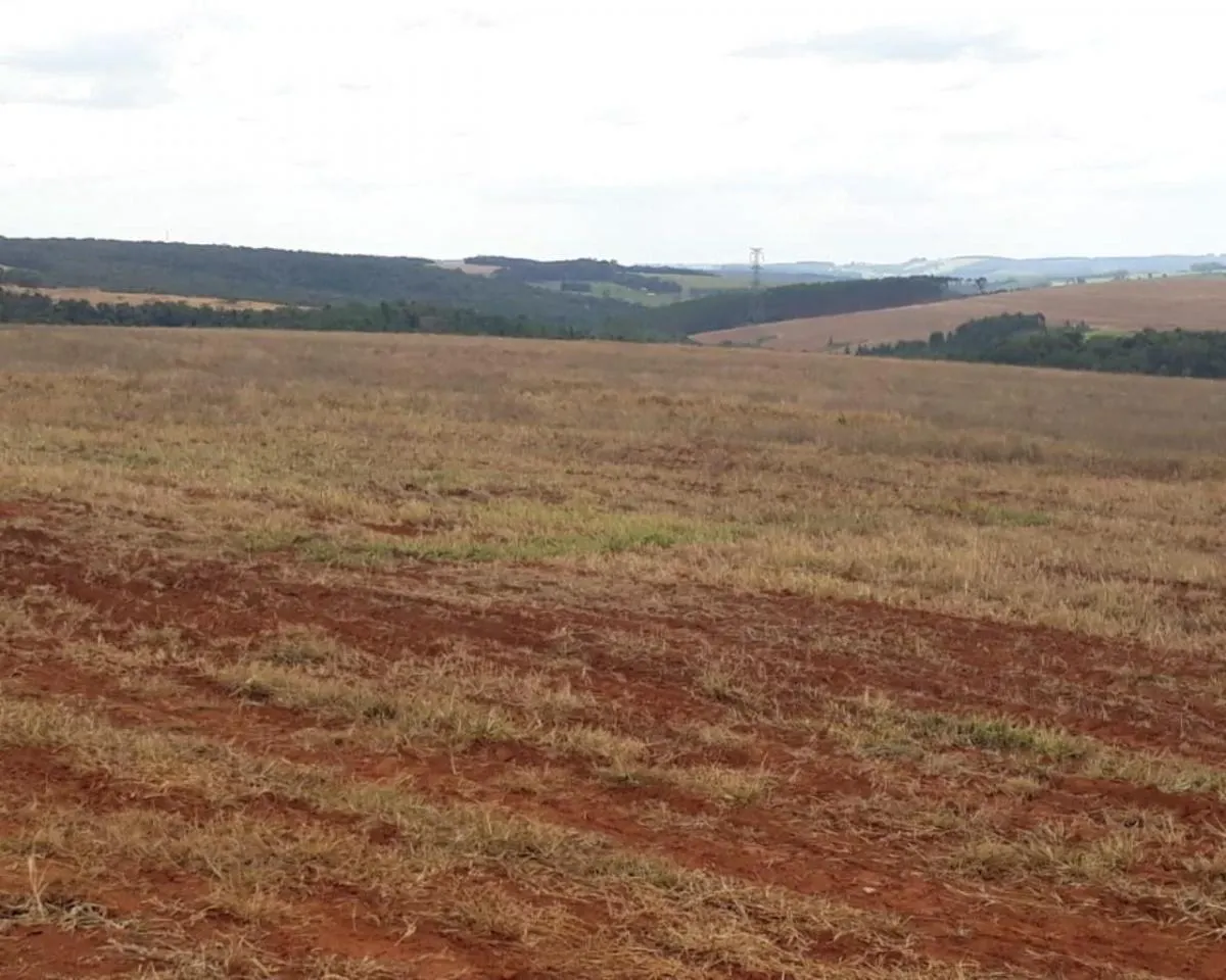 Fazenda à venda de 626 ha em Itapeva, SP, Brasil