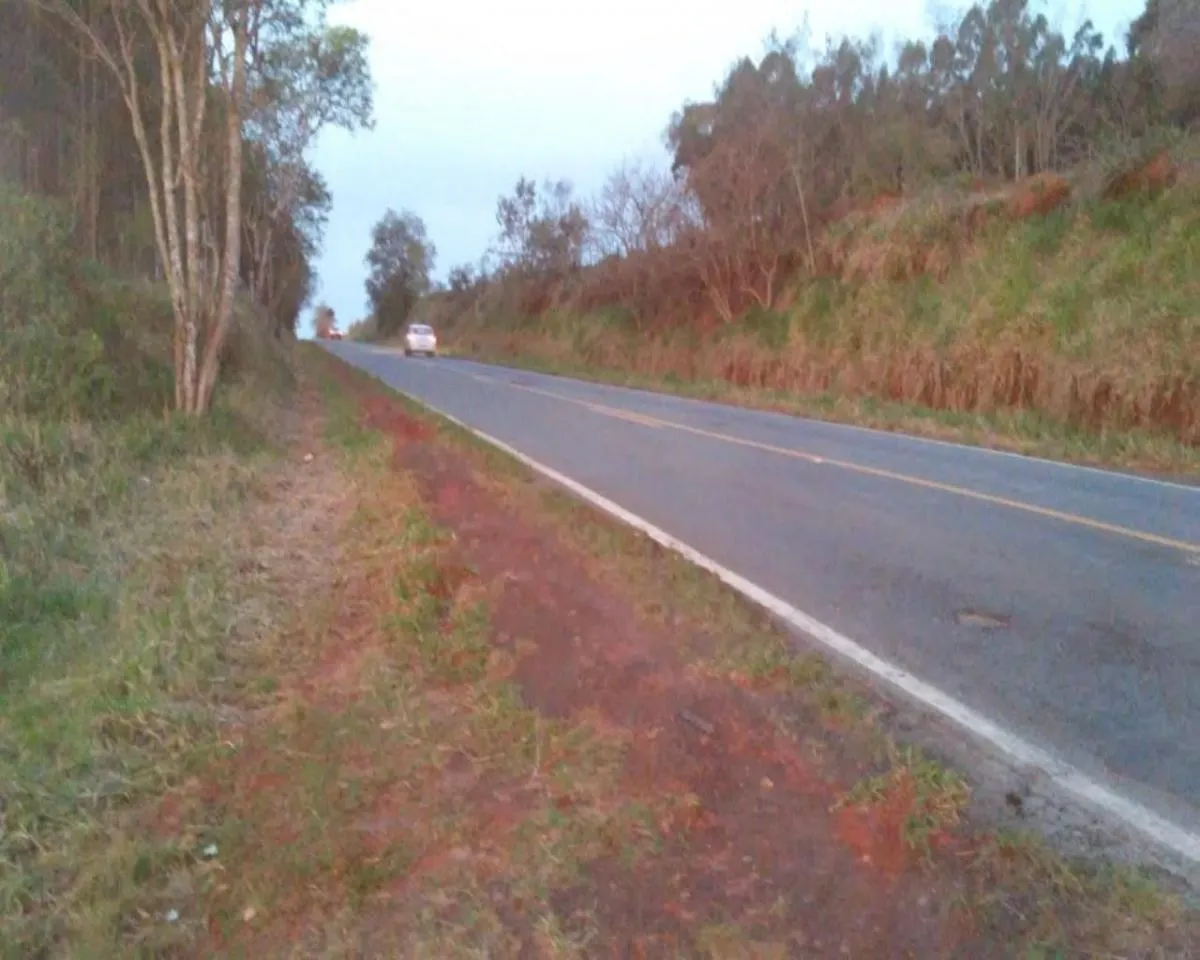 Fazenda à venda de 626 ha em Itapeva, SP, Brasil