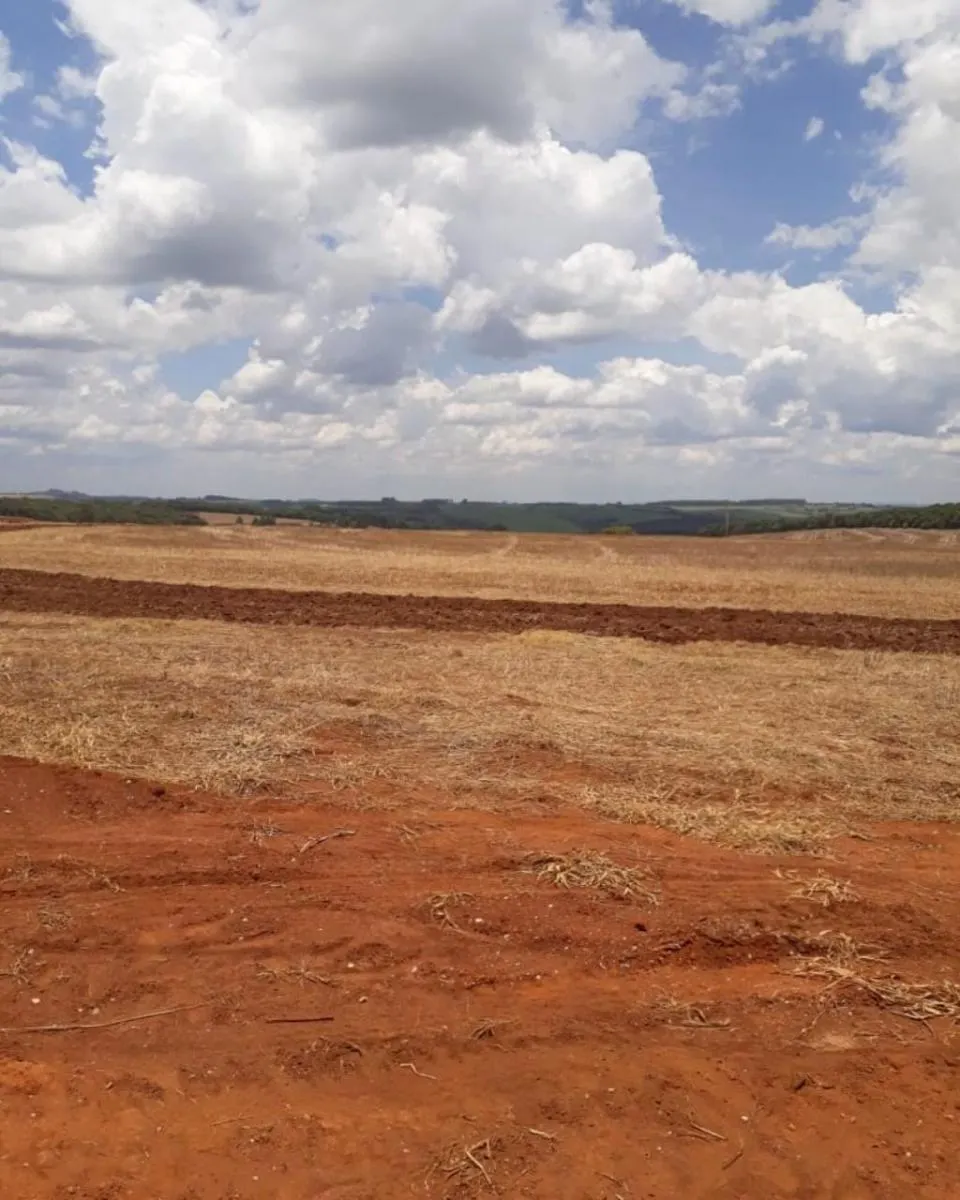 Fazenda à venda de 626 ha em Itapeva, SP, Brasil