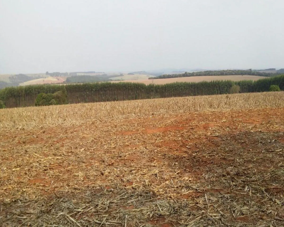 Fazenda à venda de 626 ha em Itapeva, SP, Brasil