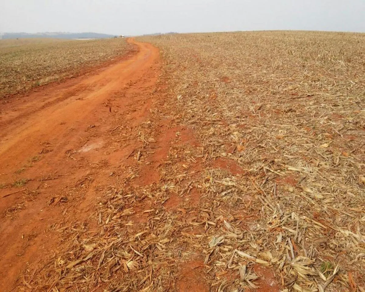 Fazenda à venda de 626 ha em Itapeva, SP, Brasil