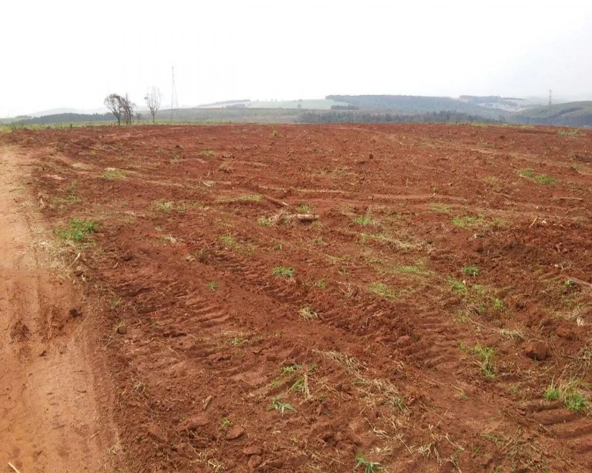 Fazenda à venda de 626 ha em Itapeva, SP, Brasil