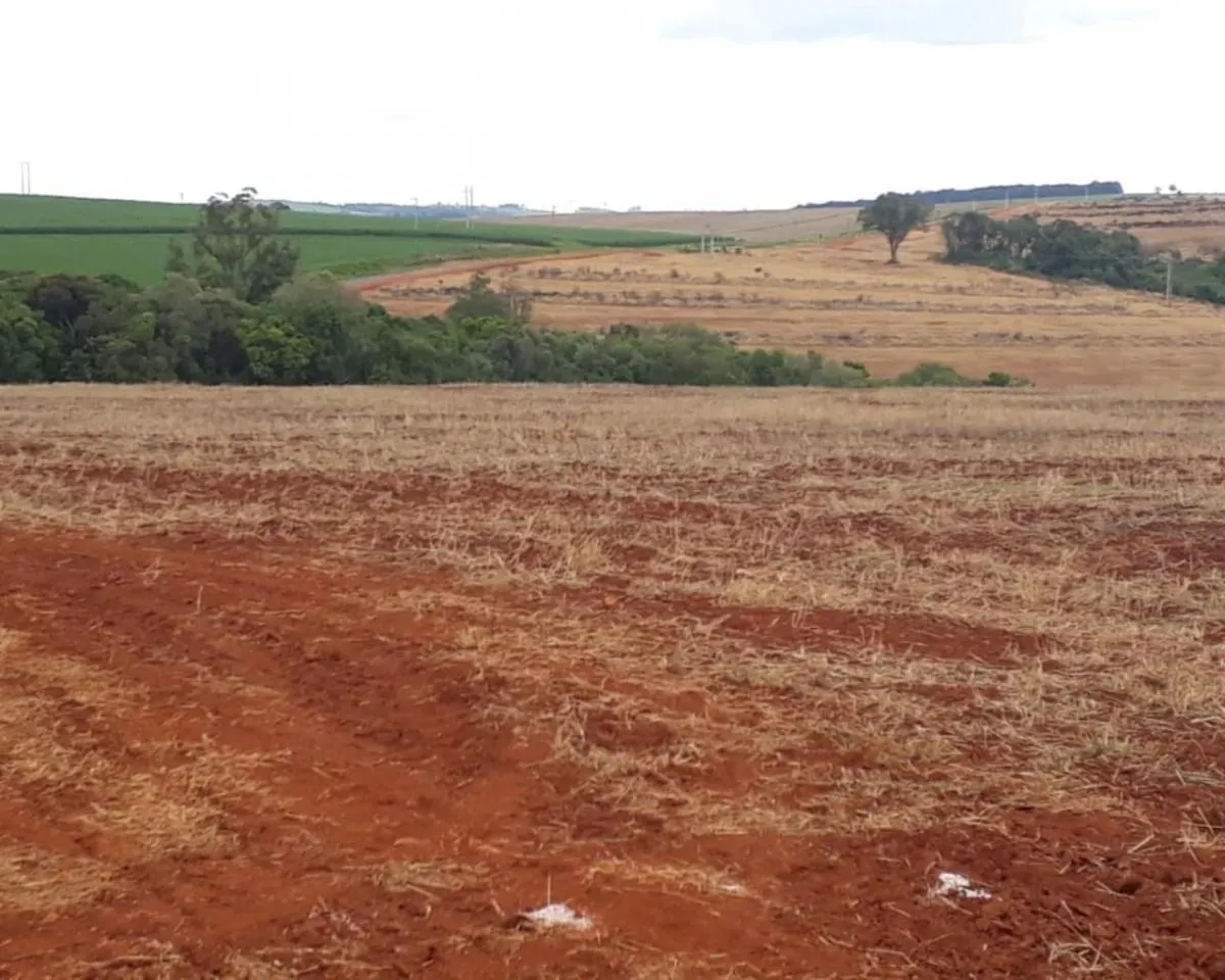 Fazenda à venda de 626 ha em Itapeva, SP, Brasil
