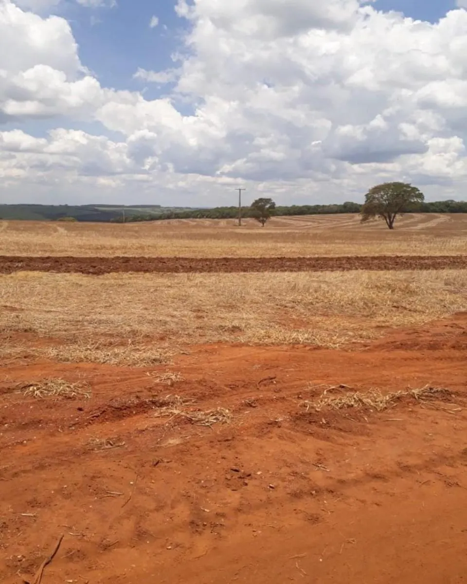 Fazenda à venda de 626 ha em Itapeva, SP, Brasil