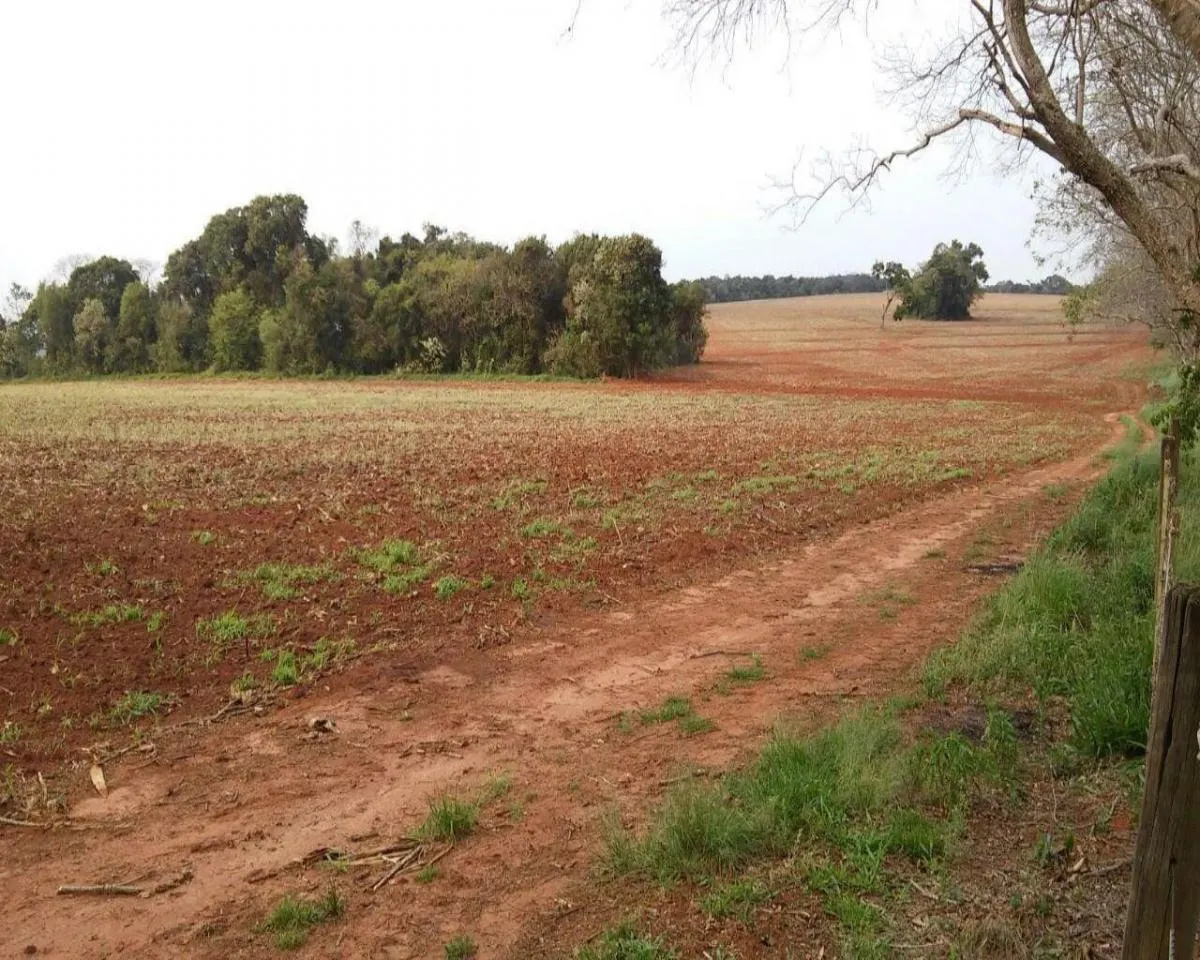 Fazenda à venda de 626 ha em Itapeva, SP, Brasil
