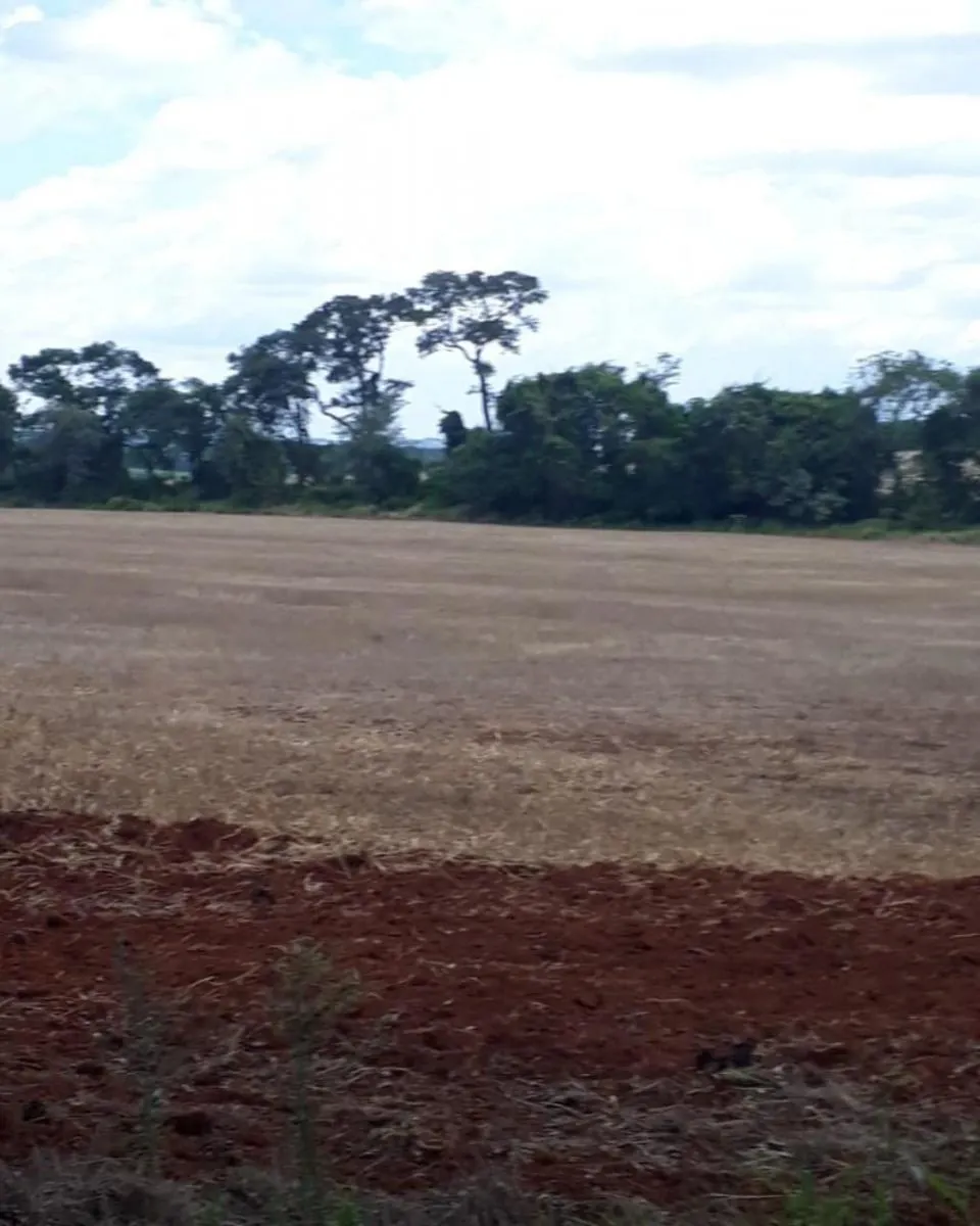 Fazenda à venda de 626 ha em Itapeva, SP, Brasil