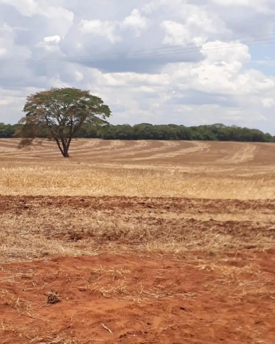 Fazenda à venda de 626 ha em Itapeva, SP, Brasil