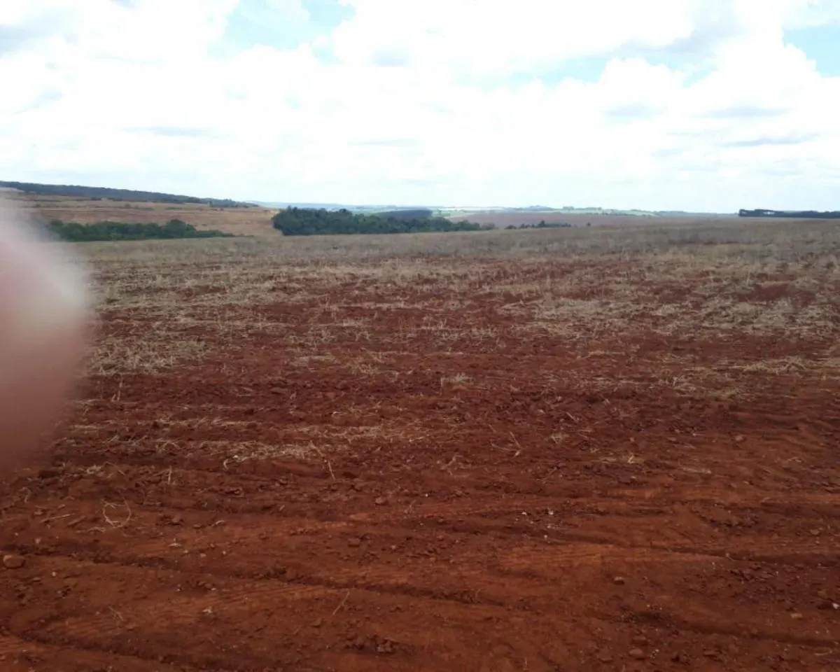 Fazenda à venda de 626 ha em Itapeva, SP, Brasil