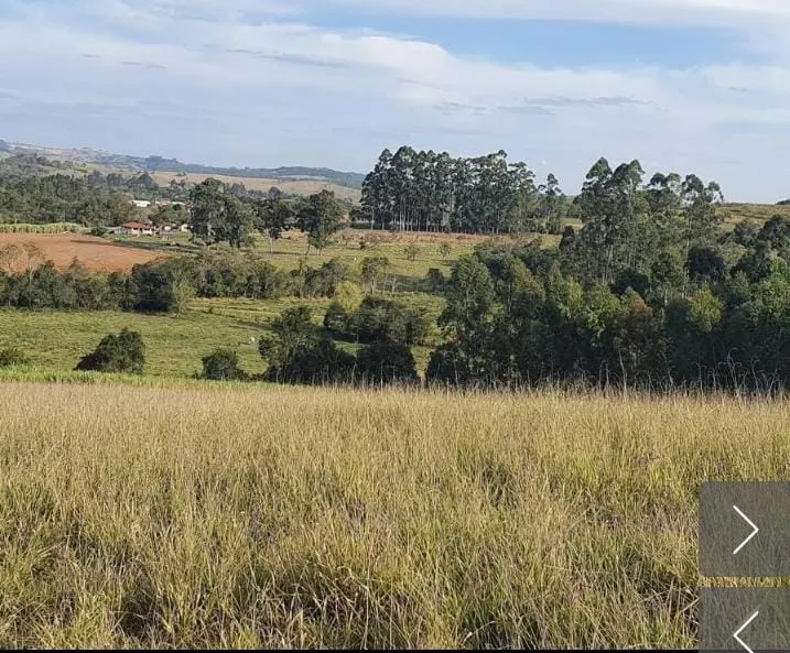 Small farm for sale of 9 acres in Angatuba, SP, Brazil