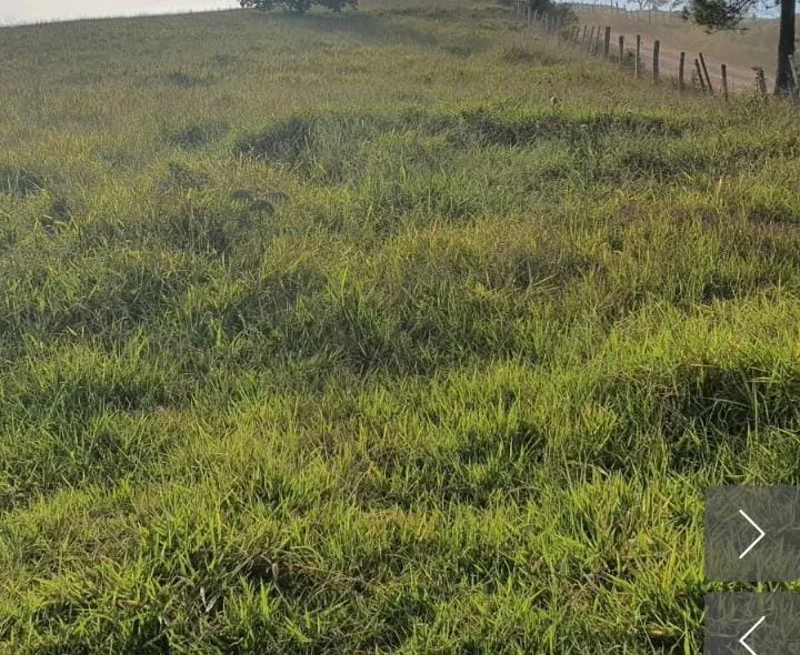 Small farm for sale of 9 acres in Angatuba, SP, Brazil