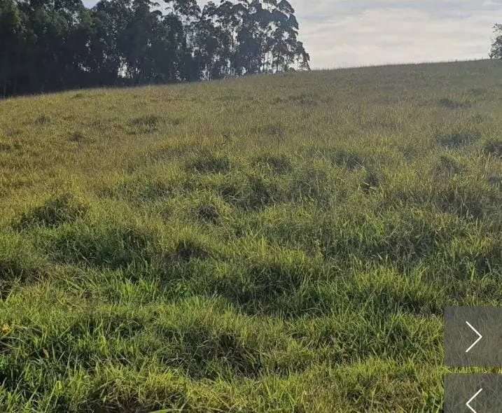 Small farm for sale of 9 acres in Angatuba, SP, Brazil