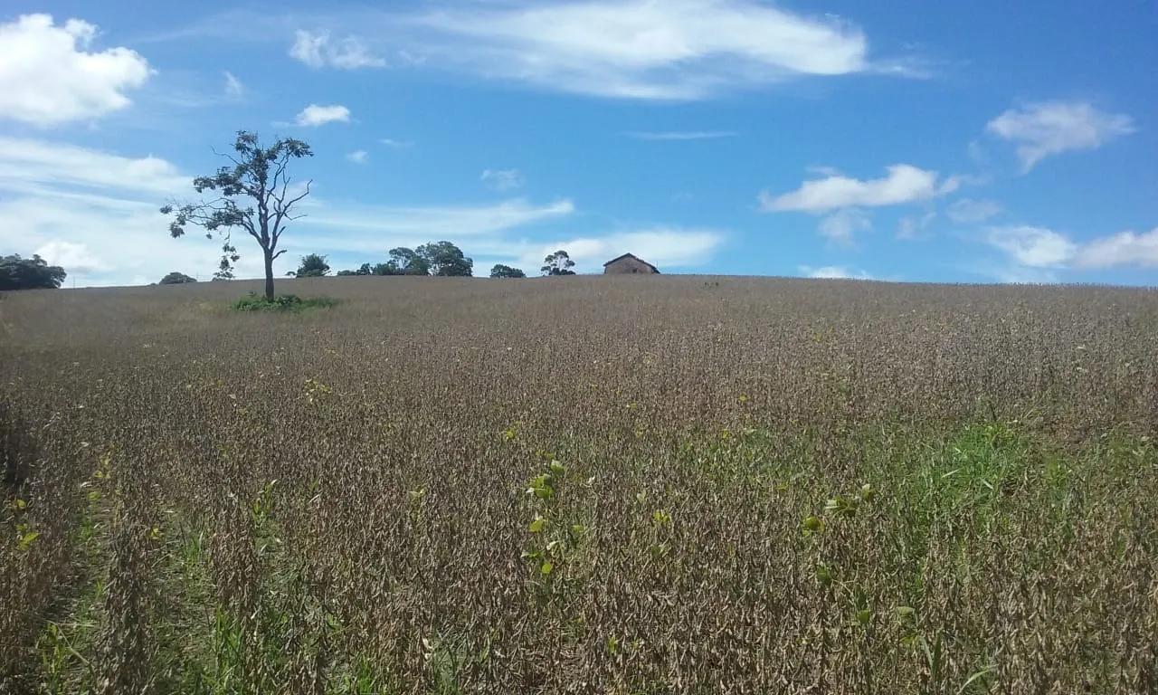 Small farm for sale of 54 acres in Itapetininga, SP, Brazil
