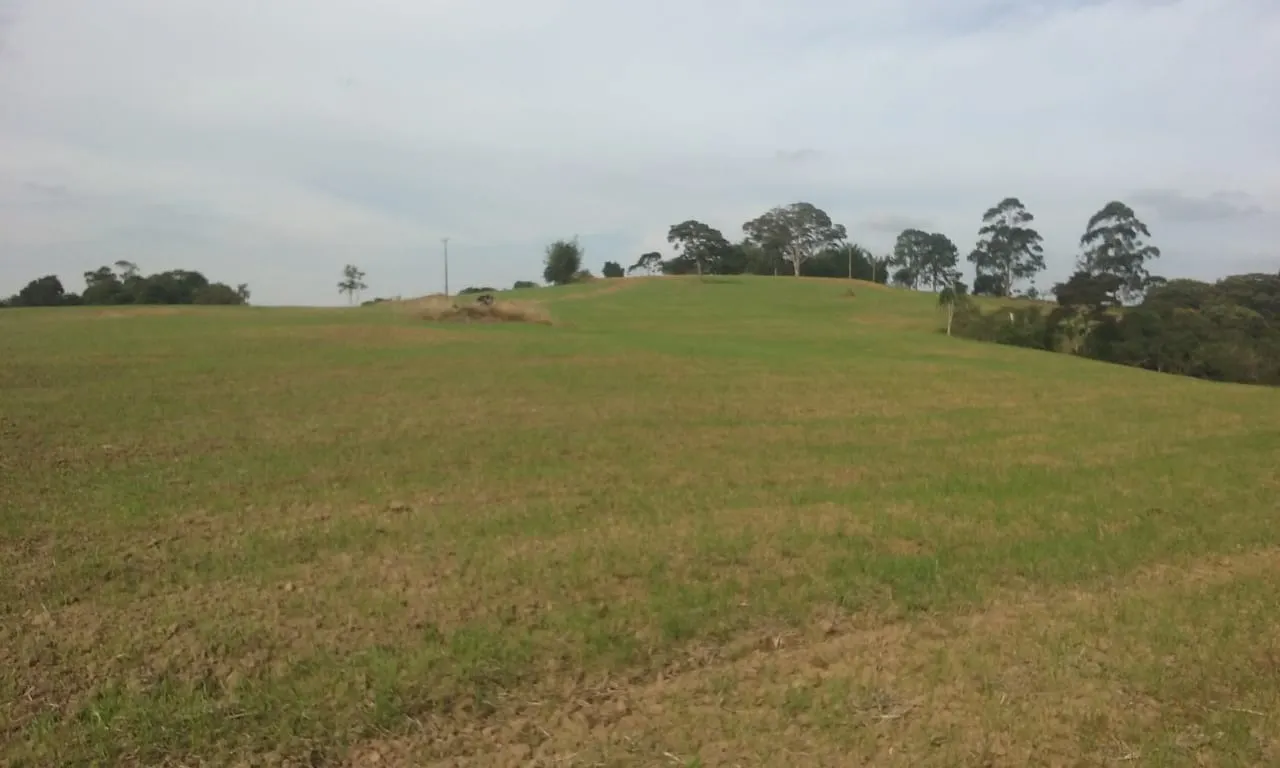 Small farm for sale of 54 acres in Itapetininga, SP, Brazil