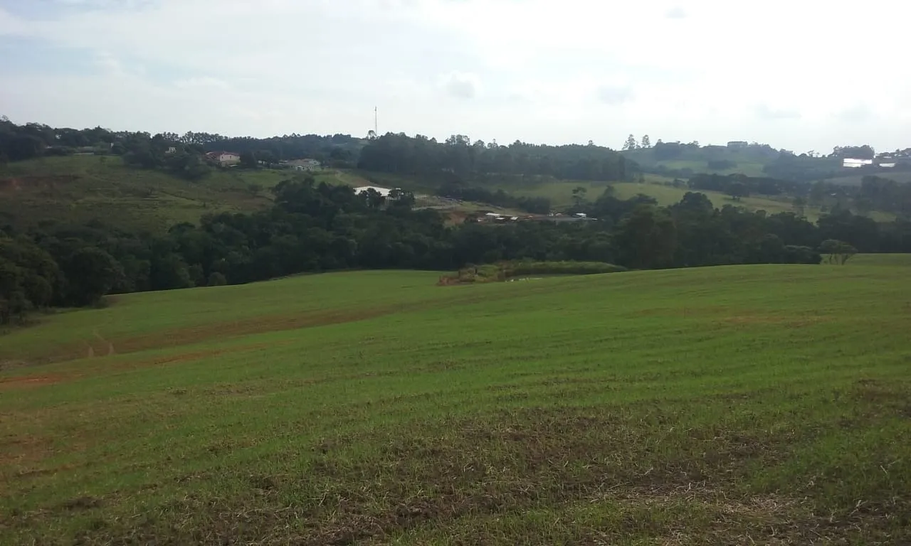 Small farm for sale of 54 acres in Itapetininga, SP, Brazil