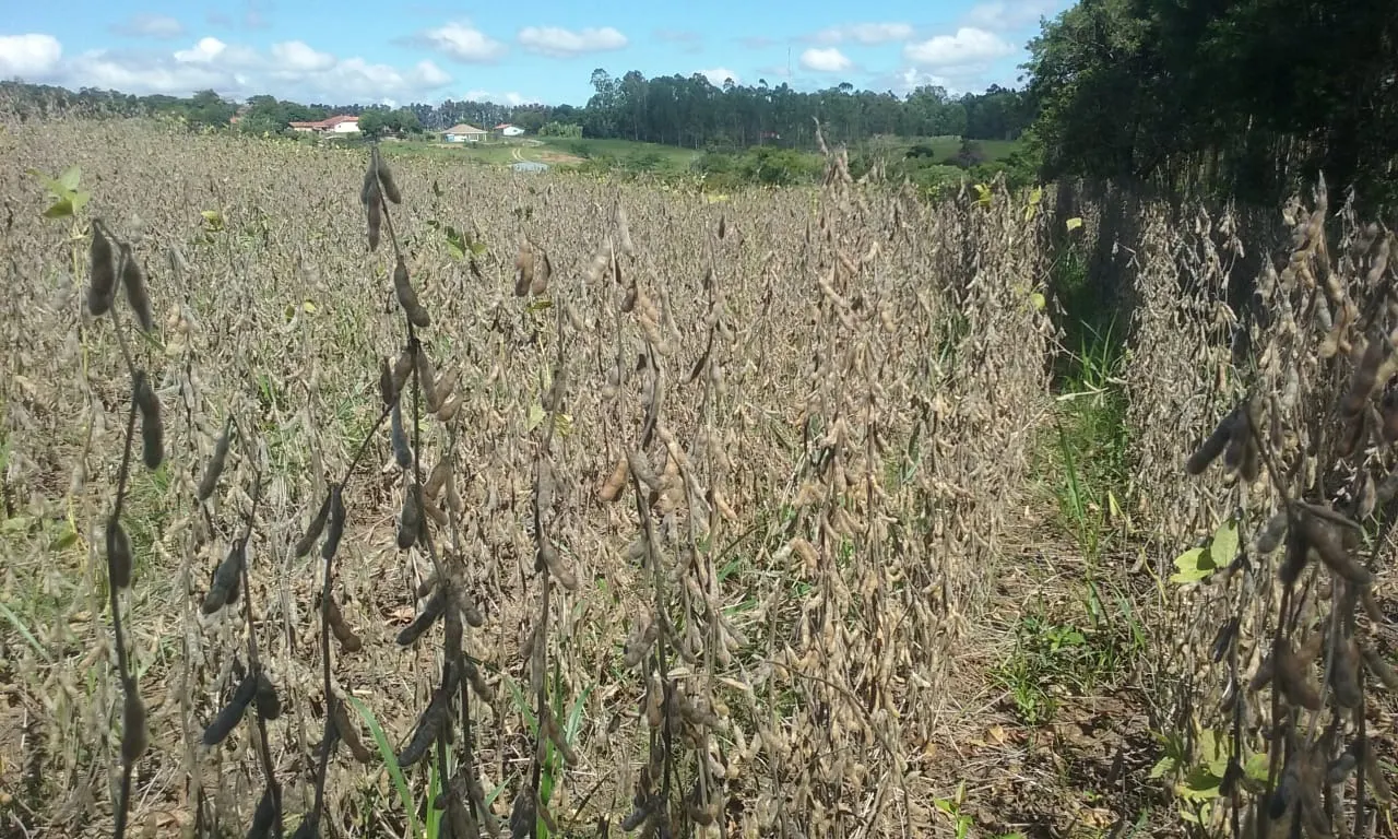Small farm for sale of 54 acres in Itapetininga, SP, Brazil