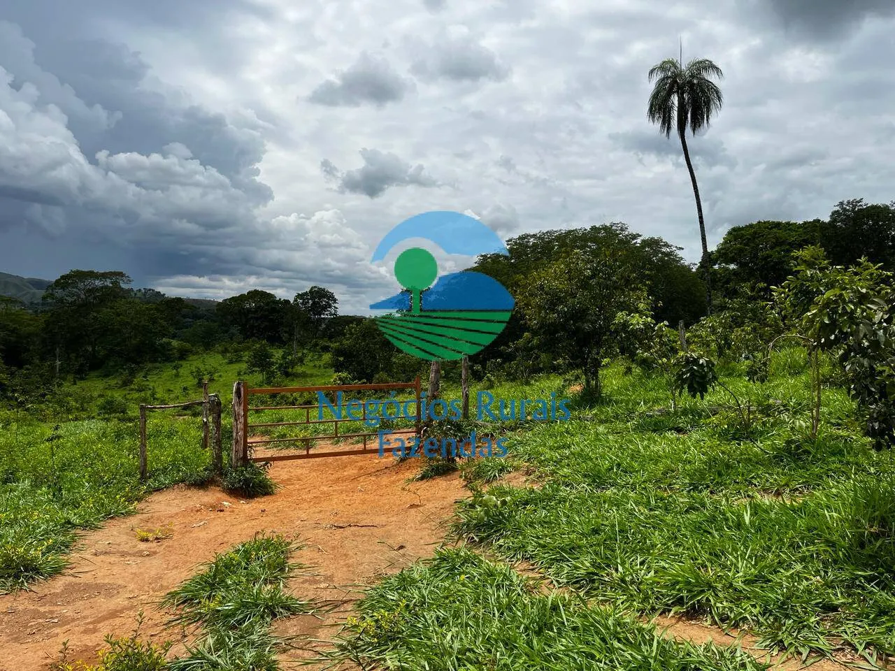 Fazenda à venda de 667 ha em Padre Bernardo, GO, Brasil