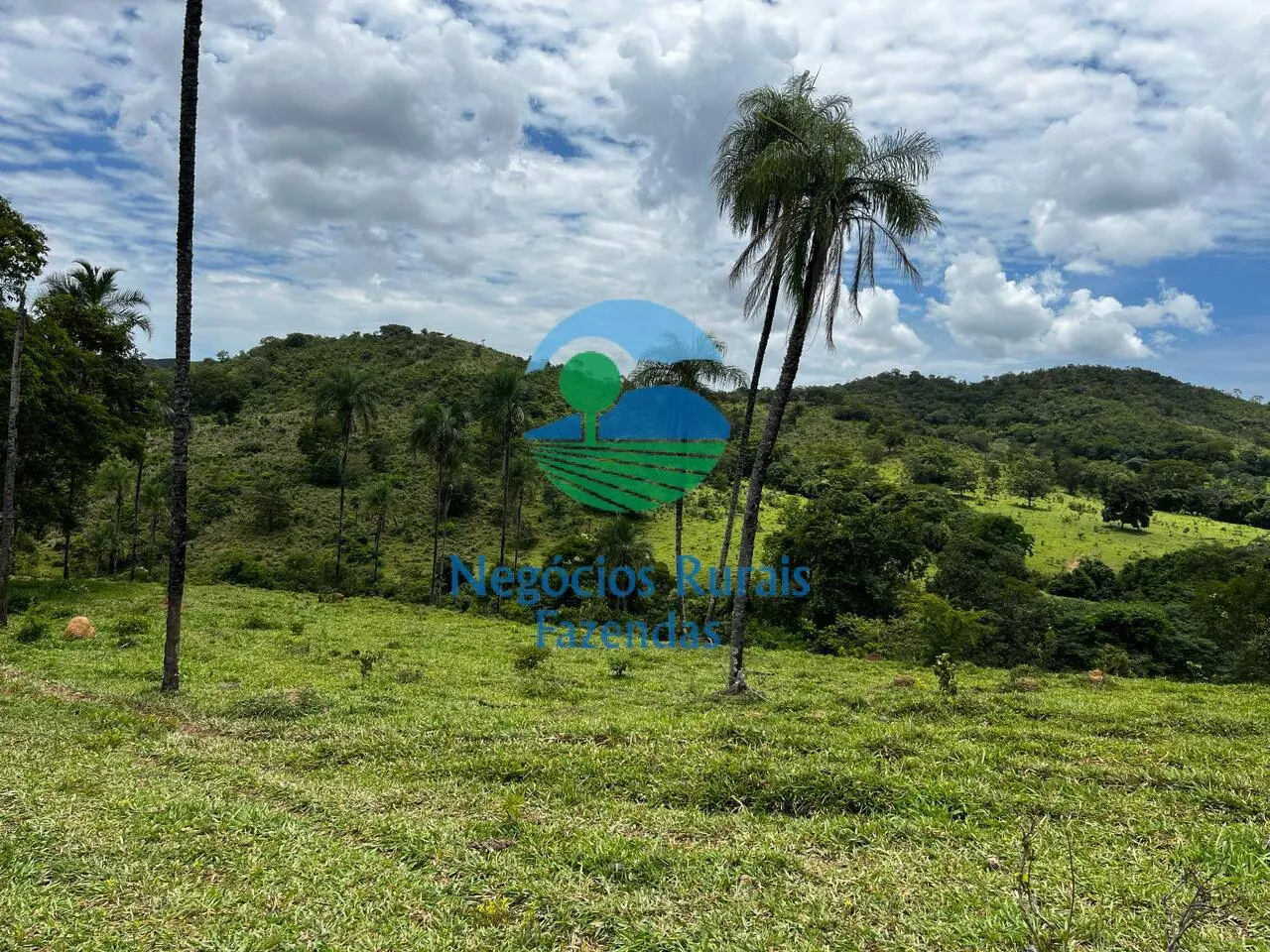 Fazenda à venda de 667 ha em Padre Bernardo, GO, Brasil