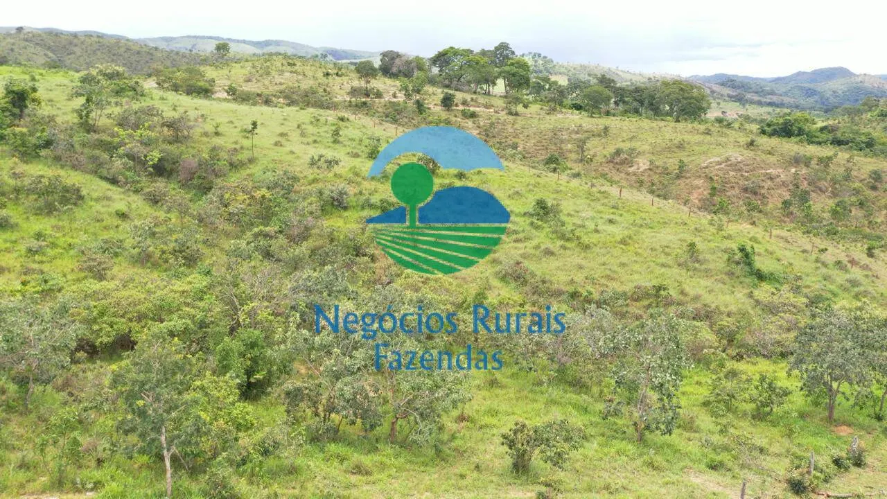 Fazenda à venda de 667 ha em Padre Bernardo, GO, Brasil