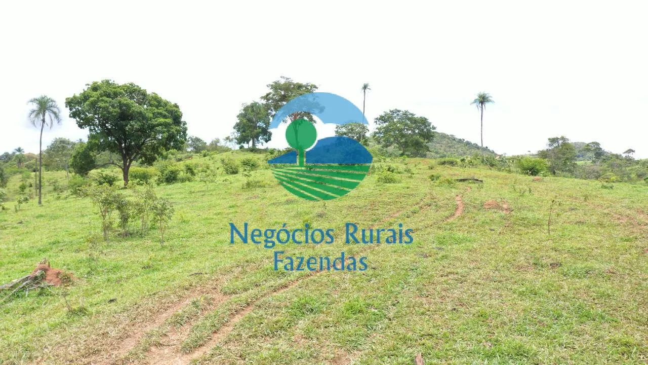 Fazenda à venda de 667 ha em Padre Bernardo, GO, Brasil
