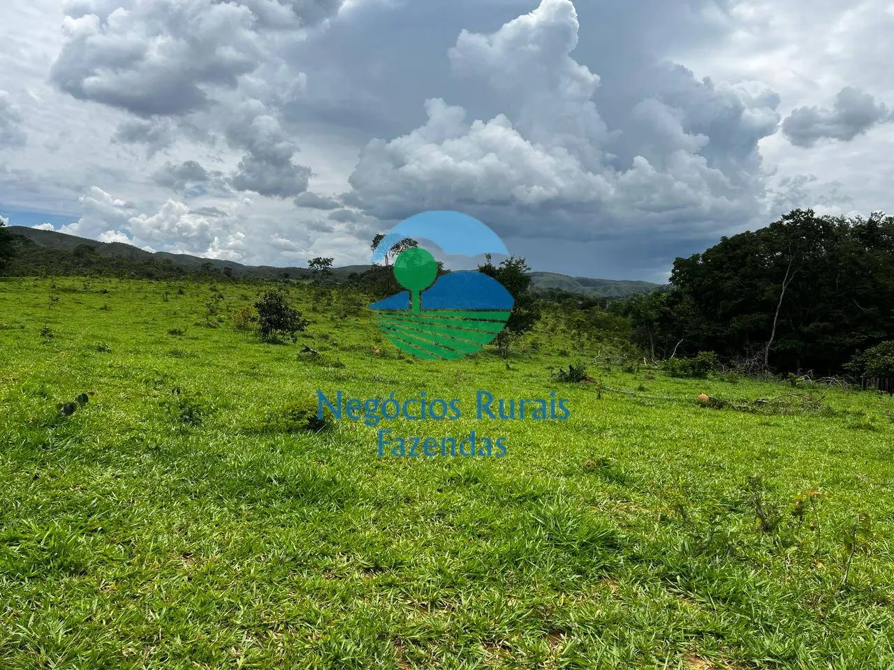 Fazenda à venda de 667 ha em Padre Bernardo, GO, Brasil