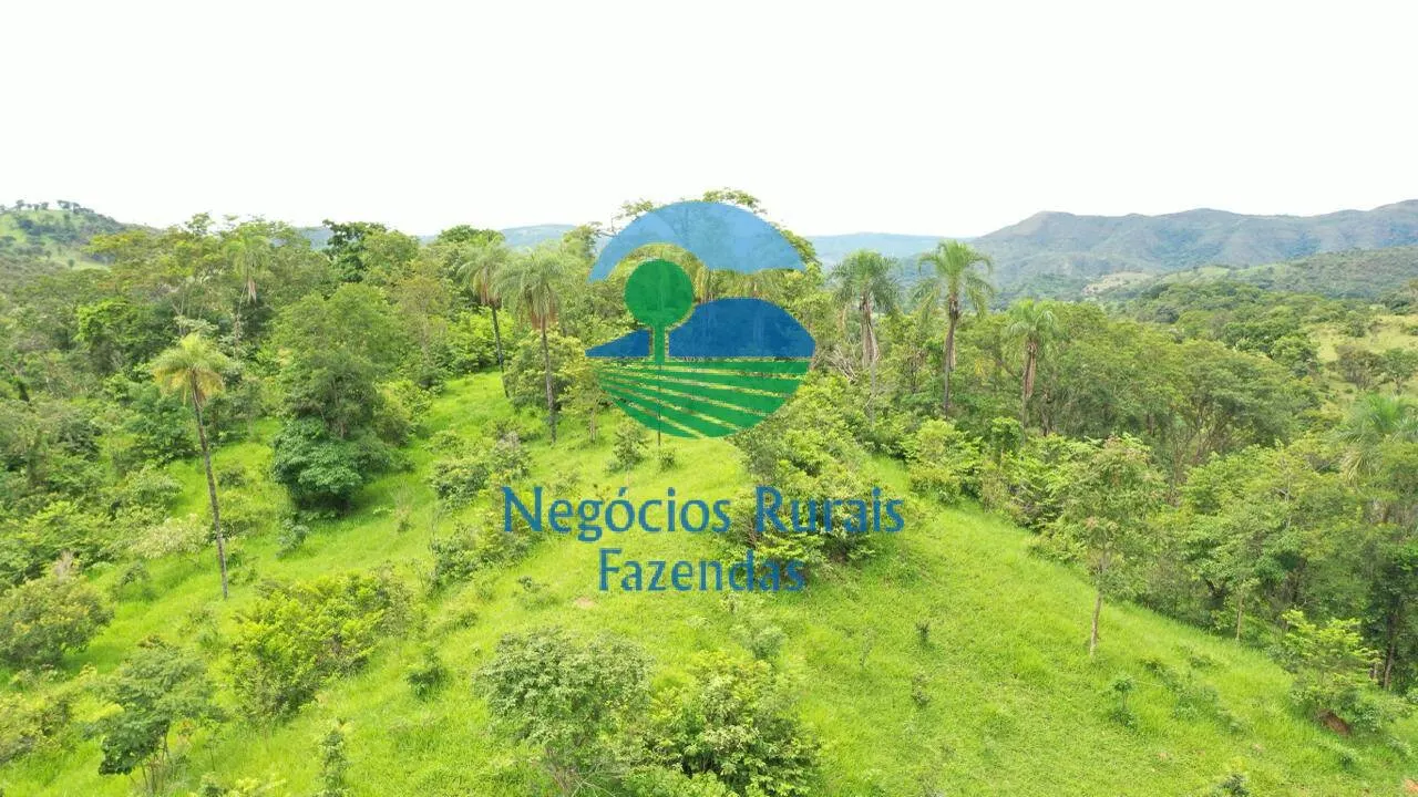 Fazenda à venda de 667 ha em Padre Bernardo, GO, Brasil