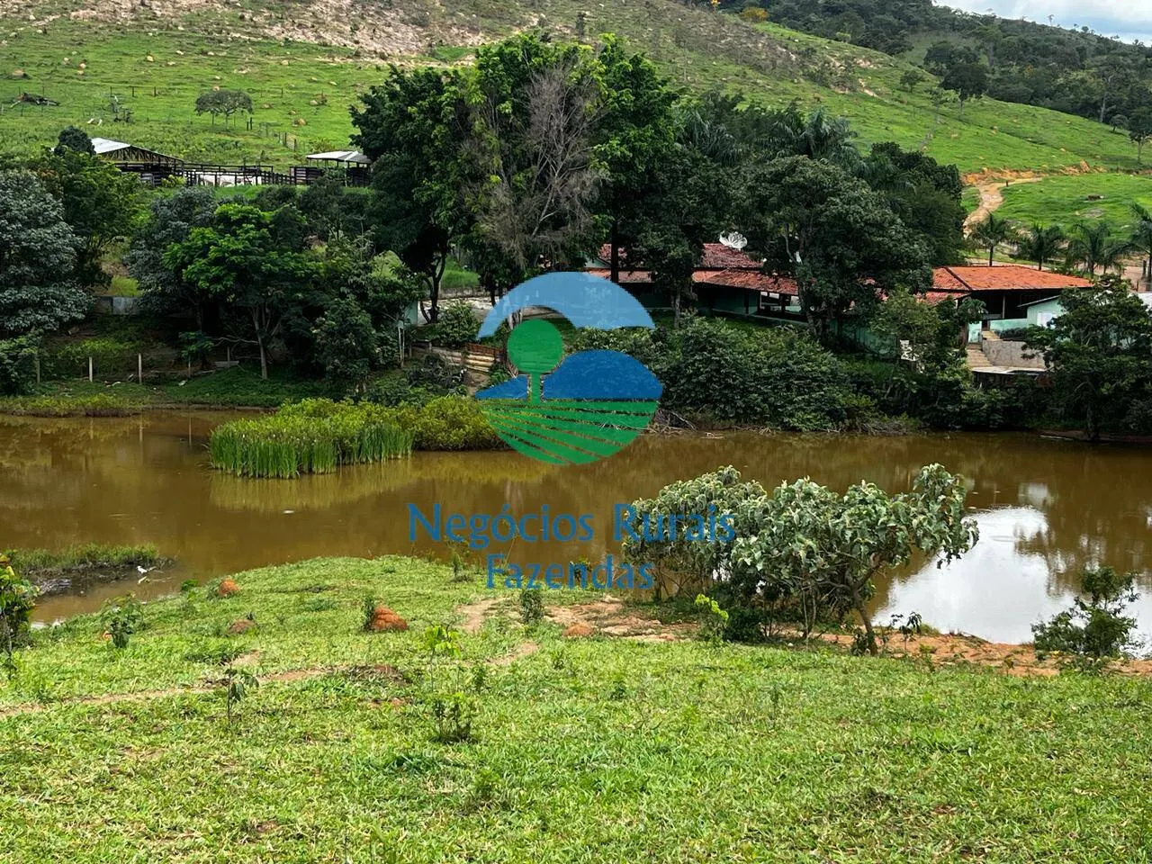 Fazenda à venda de 667 ha em Padre Bernardo, GO, Brasil