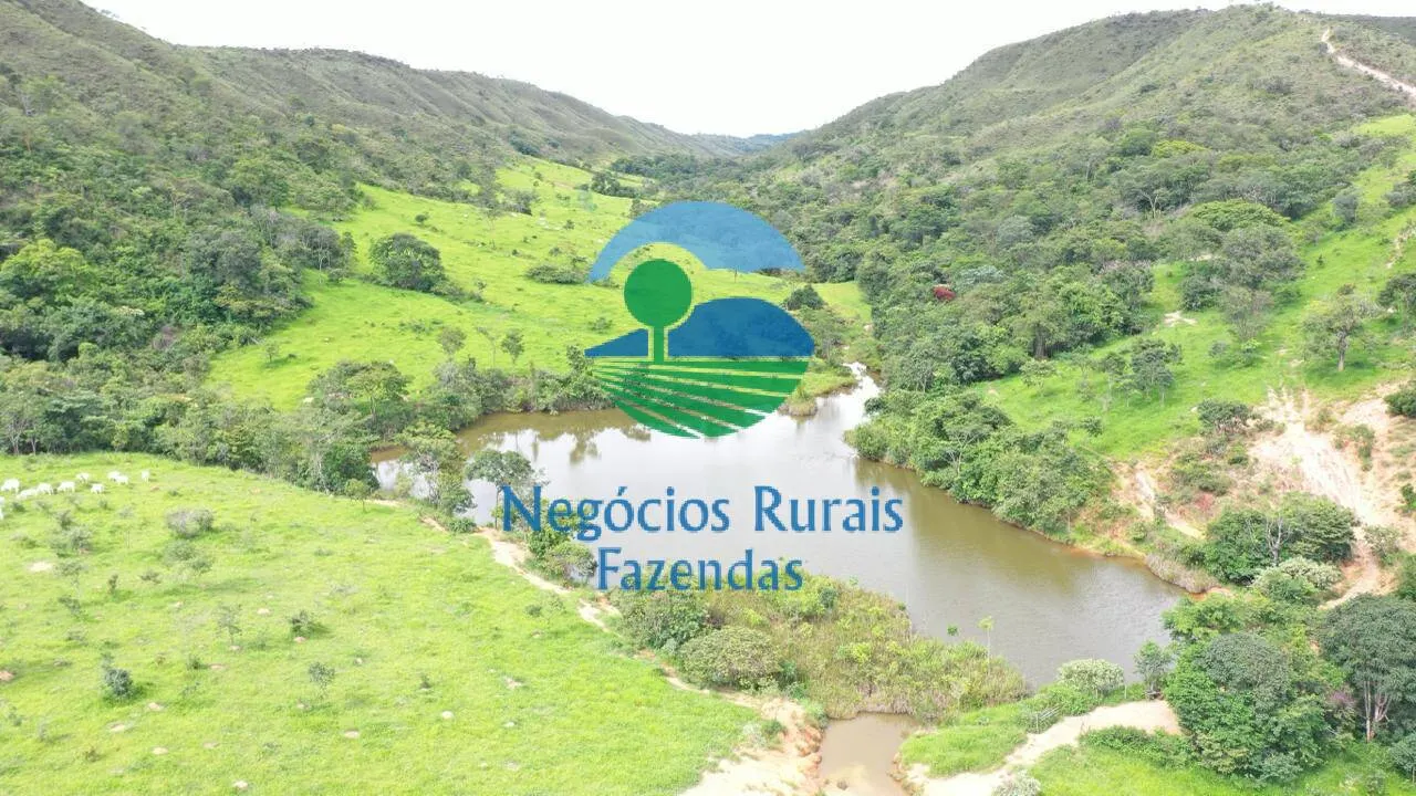 Fazenda à venda de 667 ha em Padre Bernardo, GO, Brasil