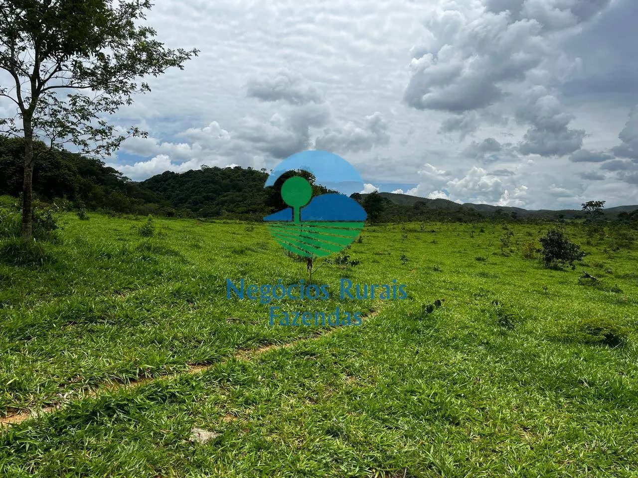 Fazenda à venda de 667 ha em Padre Bernardo, GO, Brasil