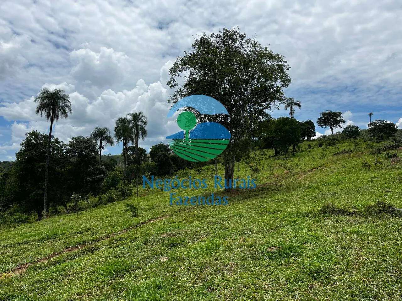 Fazenda à venda de 667 ha em Padre Bernardo, GO, Brasil