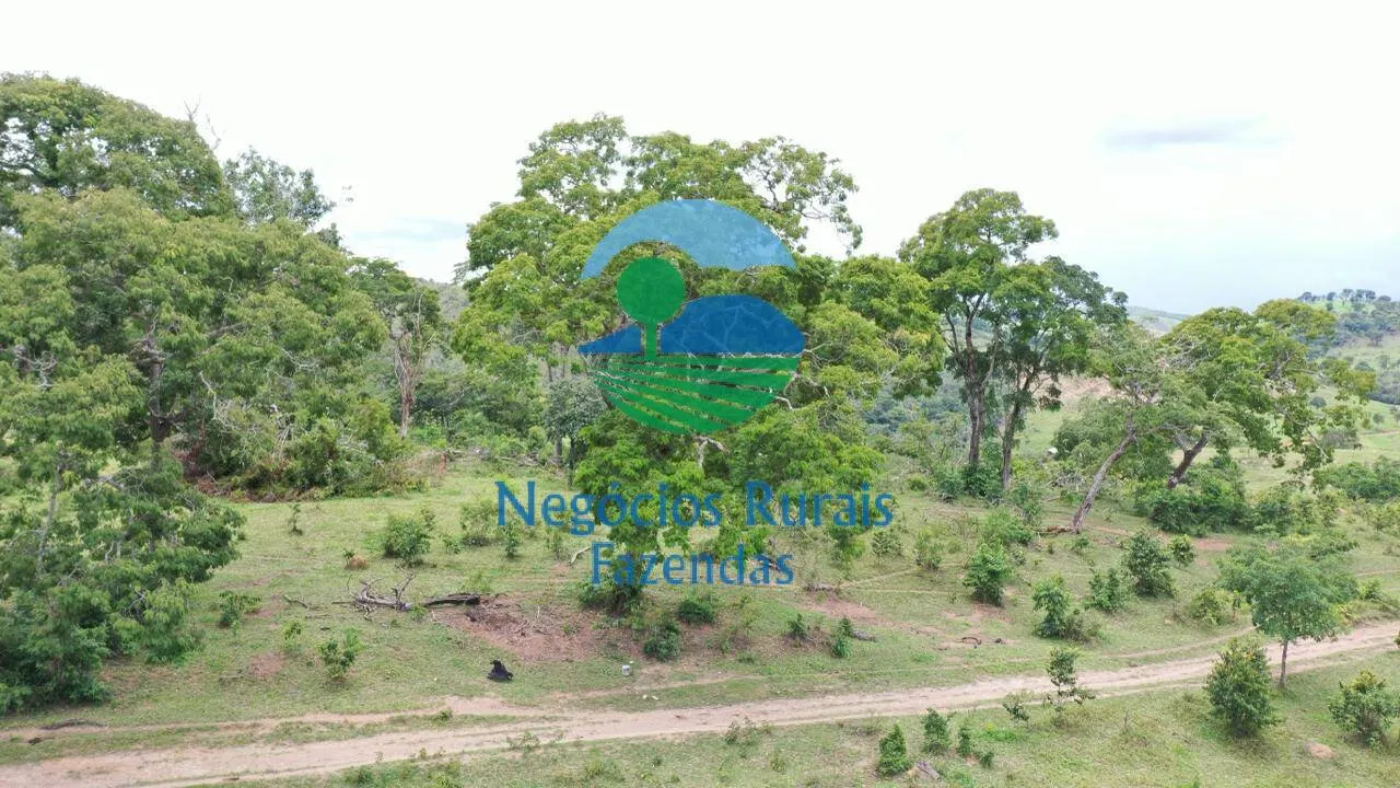 Fazenda à venda de 667 ha em Padre Bernardo, GO, Brasil