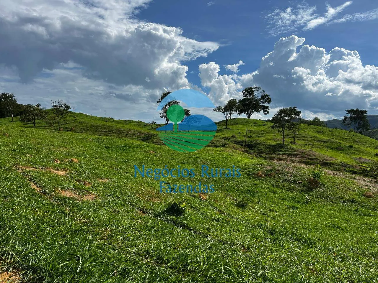 Fazenda à venda de 667 ha em Padre Bernardo, GO, Brasil