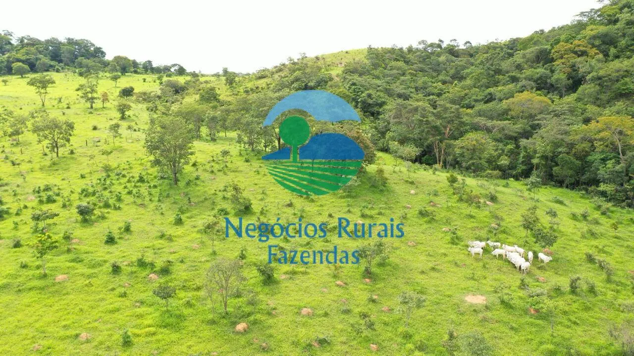 Fazenda à venda de 667 ha em Padre Bernardo, GO, Brasil