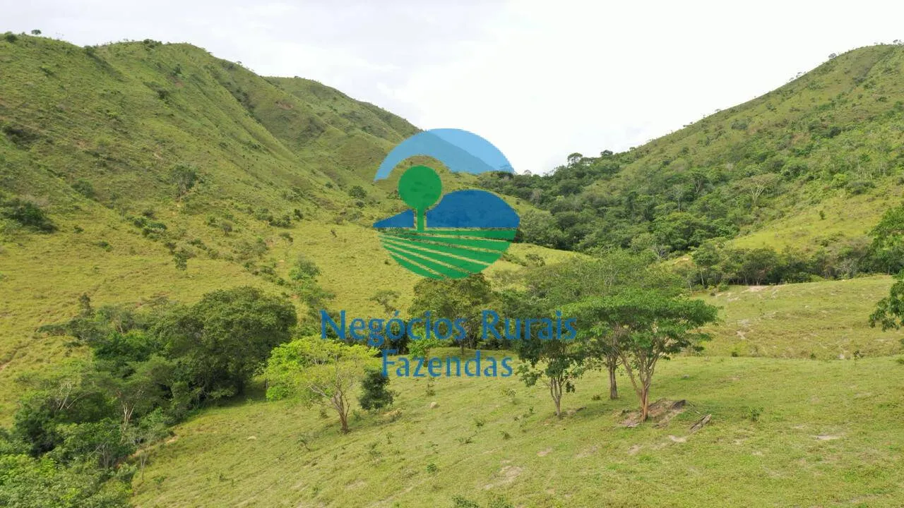 Fazenda à venda de 667 ha em Padre Bernardo, GO, Brasil