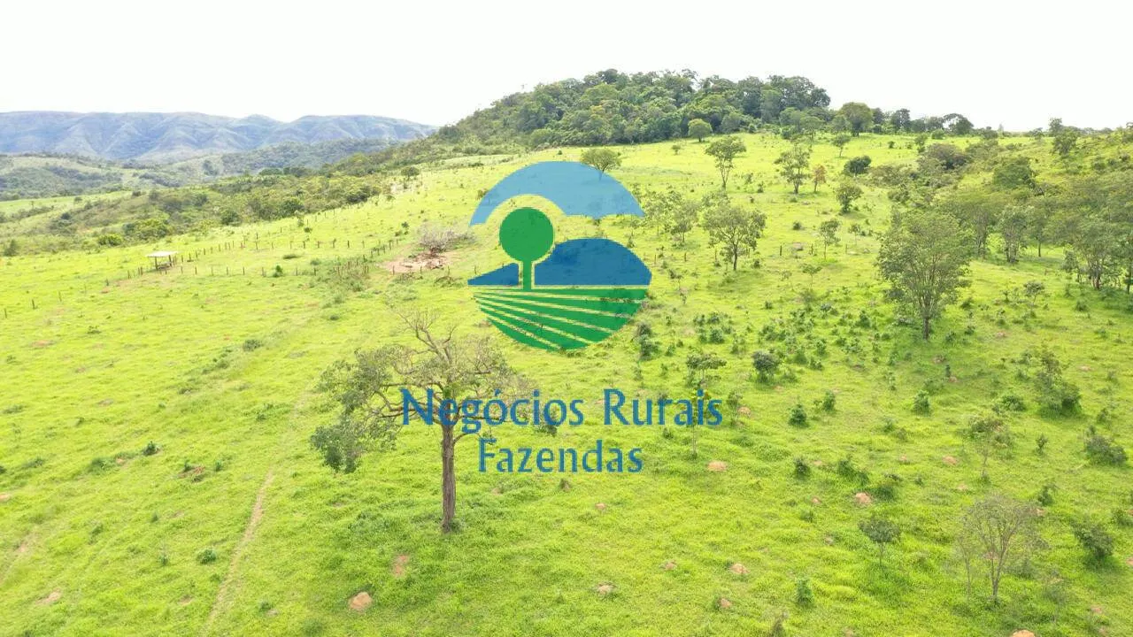 Fazenda à venda de 667 ha em Padre Bernardo, GO, Brasil
