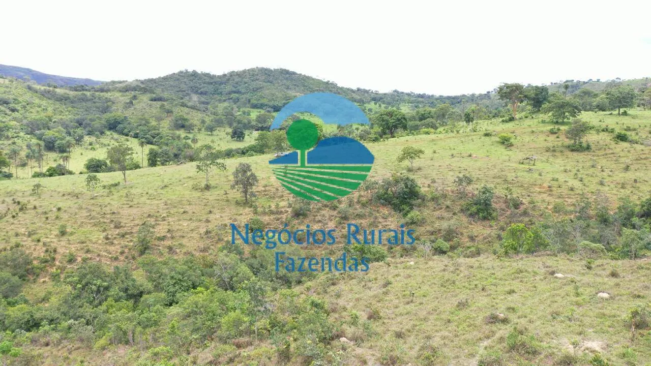 Fazenda à venda de 667 ha em Padre Bernardo, GO, Brasil