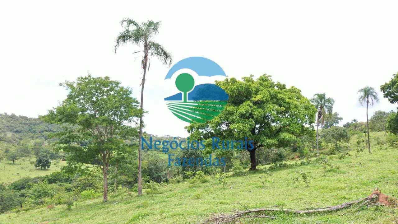 Fazenda à venda de 667 ha em Padre Bernardo, GO, Brasil