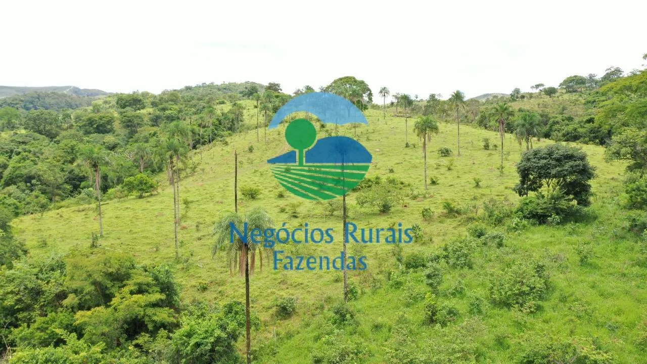 Fazenda à venda de 667 ha em Padre Bernardo, GO, Brasil