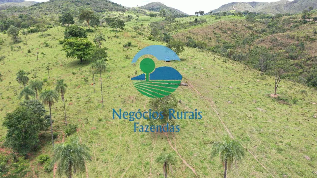 Fazenda à venda de 667 ha em Padre Bernardo, GO, Brasil