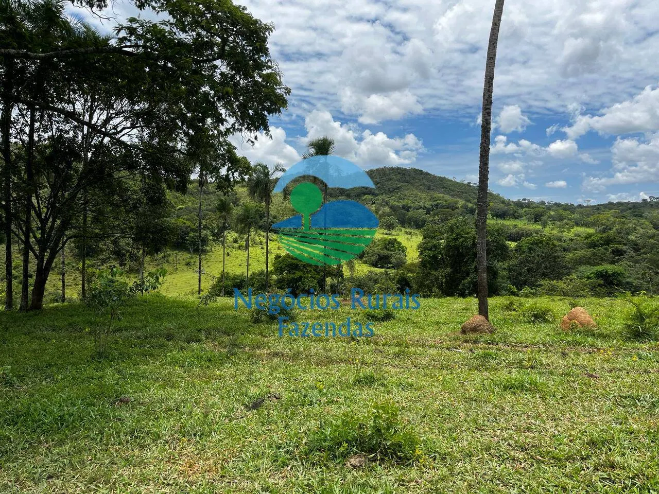 Fazenda à venda de 667 ha em Padre Bernardo, GO, Brasil