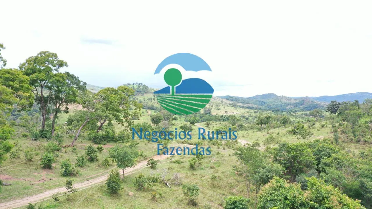 Fazenda à venda de 667 ha em Padre Bernardo, GO, Brasil