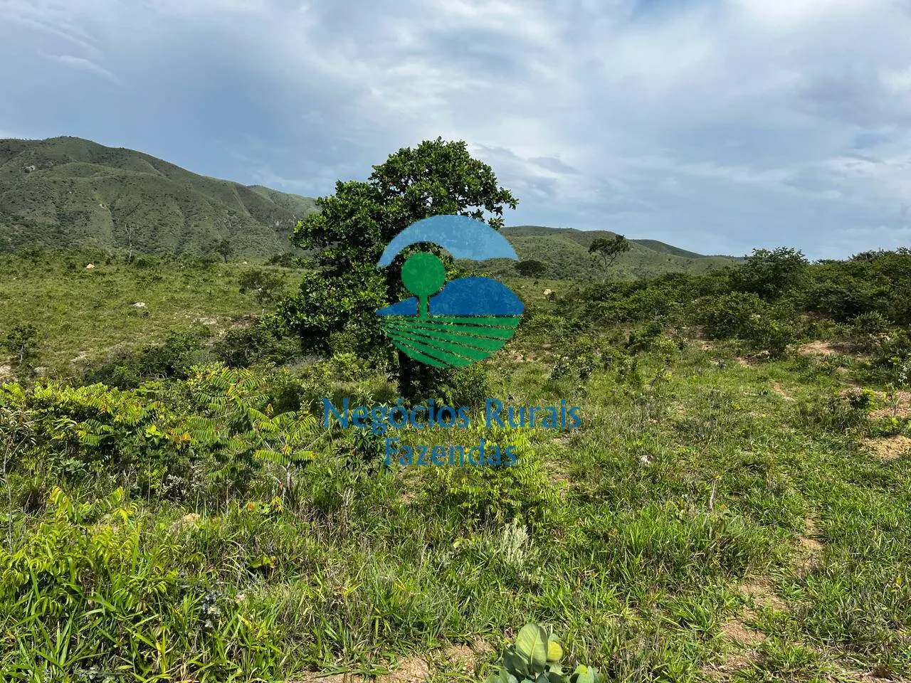 Fazenda à venda de 667 ha em Padre Bernardo, GO, Brasil